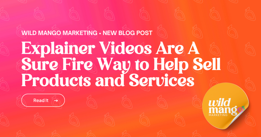 Explainer Videos
