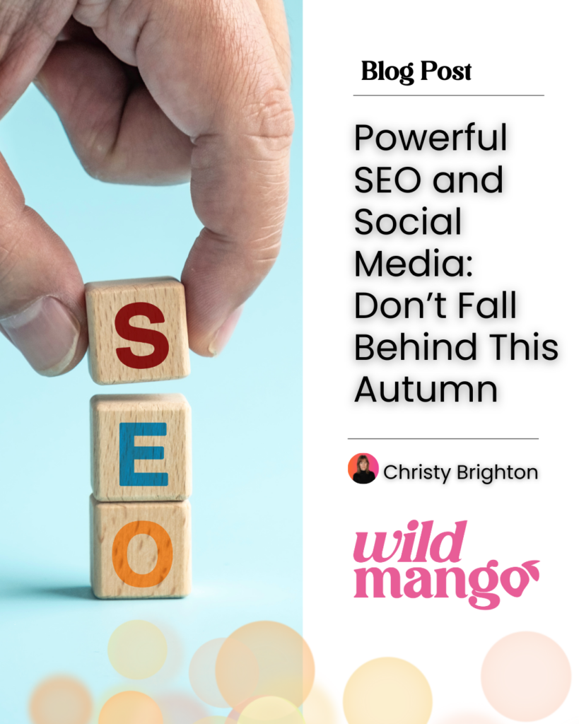 Blocks that read SEO | Powerful SEO and Social Media: Don’t Fall Behind This Autumn | Wild Mango Marketing | BLOG POST