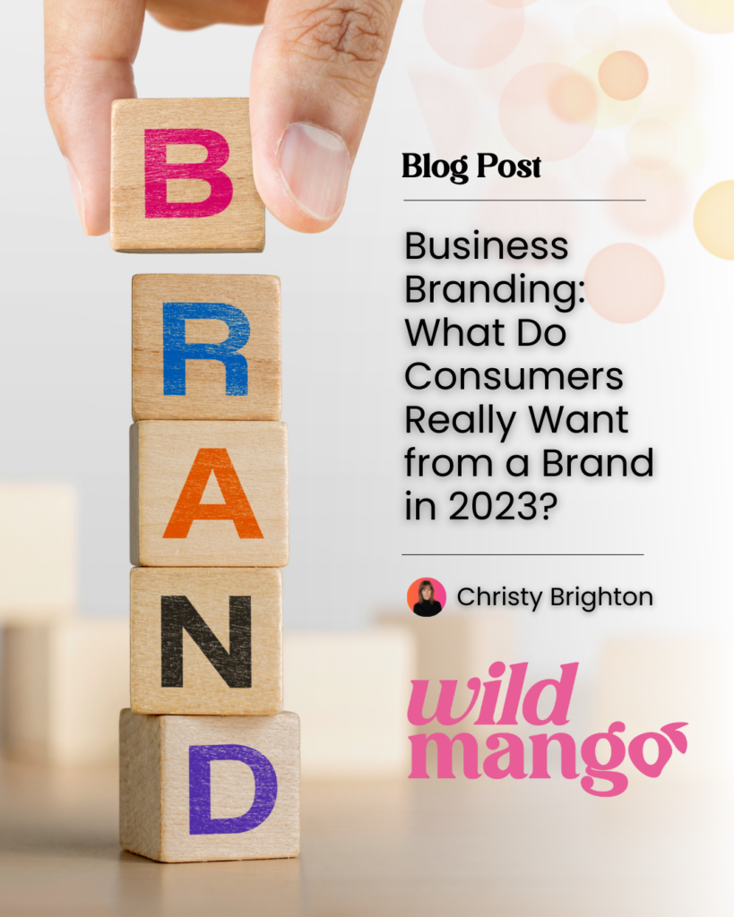 Building blocks that spell BRAND place on top of one another | Successful Business Branding And What Consumers Really Want | Wild Mango Marketing | BLOG POST