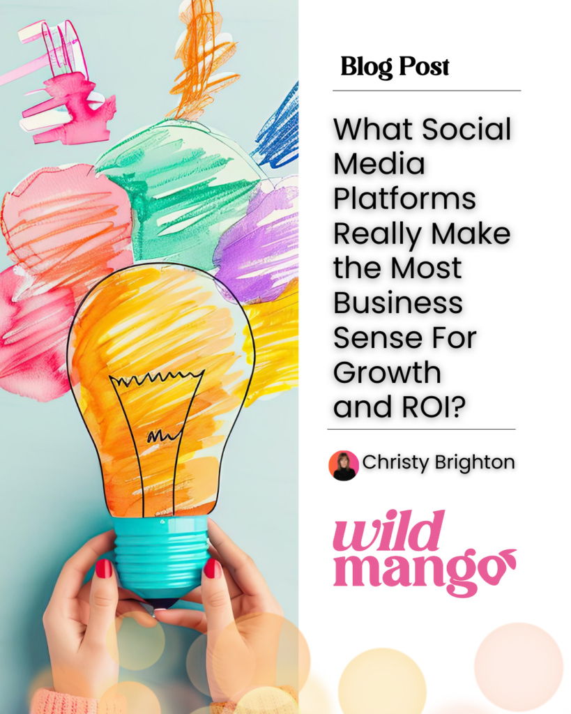 Hand holding lightbulb of many colours | What Social Media Platforms Really Make the Most Business Sense for Growth and ROI? | Wild Mango Marketing | BLOG POST