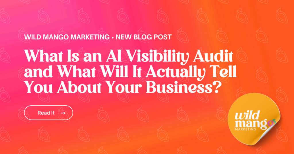 AI Visibility Audit